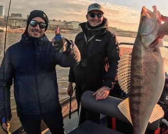 Two anglers celebrating a successful catch of a large Zander while fishing on a boat, showcasing the excitement of the experience.
