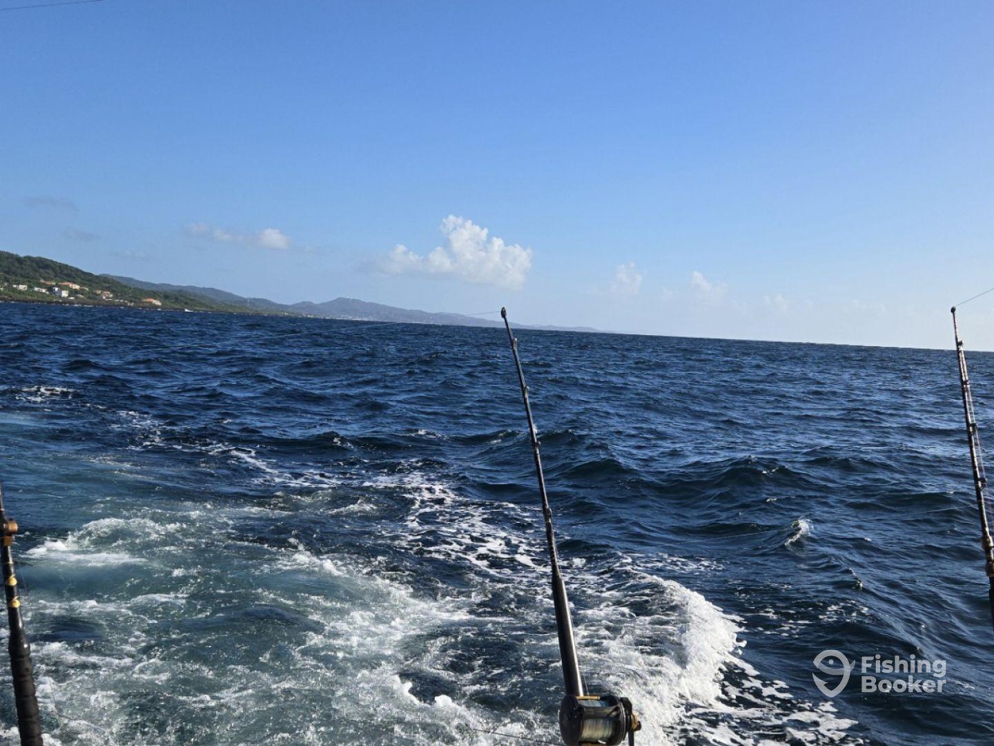 Fun day knowledgeable crew.