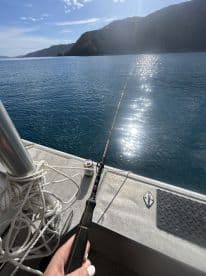 A scenic view of a fishing rod being held over calm waters, with mountainous terrain in the background, showcasing a tranquil fishing experience.