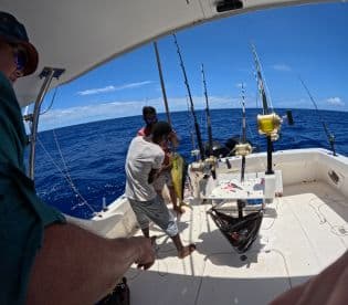 Two young anglers actively reeling in a Mahi Mahi while fishing on a sportfishing boat in open waters.