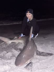 A young angler proudly displaying a large shark on the beach at night, showcasing a thrilling catch from a coastal fishing adventure.