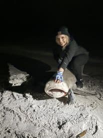 An angler proudly posing with a large catfish on the sandy shore at night, showcasing a successful catch.