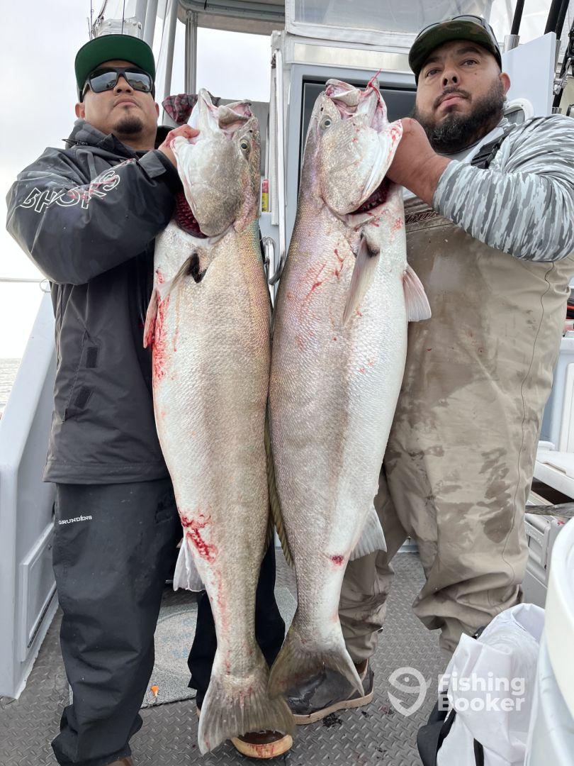 Ghost 12/28 *White Seabass*