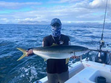 Angler displaying a large Yellowtail while fishing offshore, showcasing a beautiful day on the water.