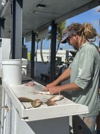 A fisherman filleting several Snapper on a cleaning station at a dock, showcasing a successful day of fishing.