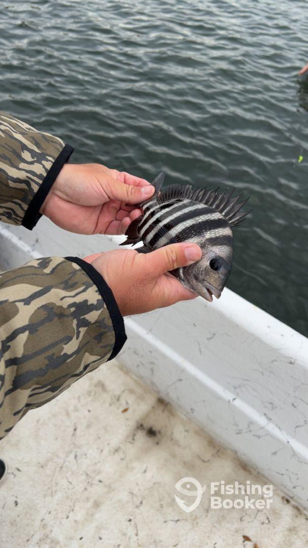 Great start to the morning 