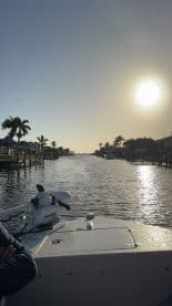A scenic view from the side of a boat navigating through a calm waterway, with palm trees lining the shore and a bright sun setting in the background.