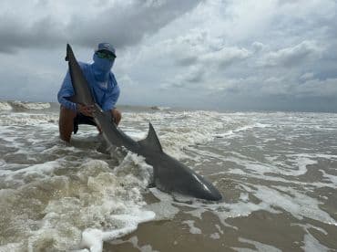 Angler kneeling in the surf, proudly displaying a large shark caught during a beach fishing expedition.