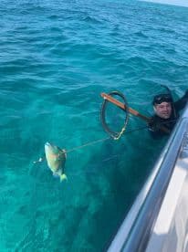 A diver spearfishing in clear turquoise waters, successfully catching a colorful fish, showcasing an exciting underwater fishing experience.