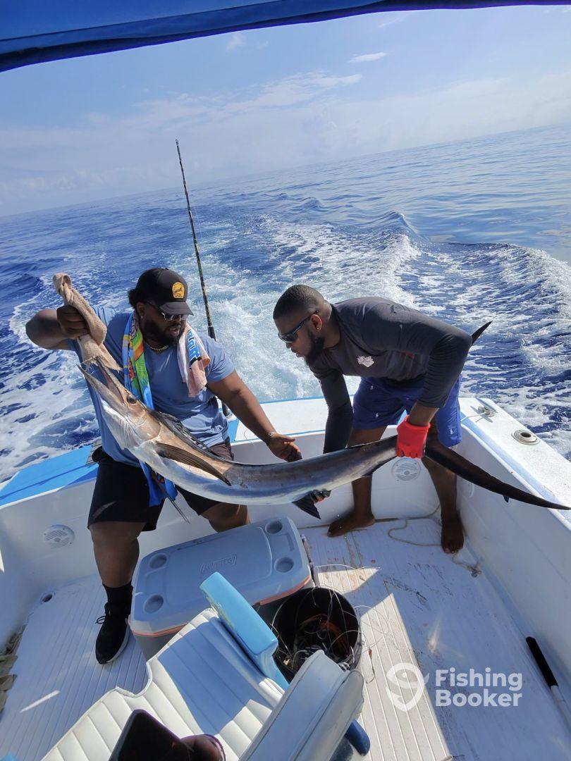 Awesome introduction to Jamaica 