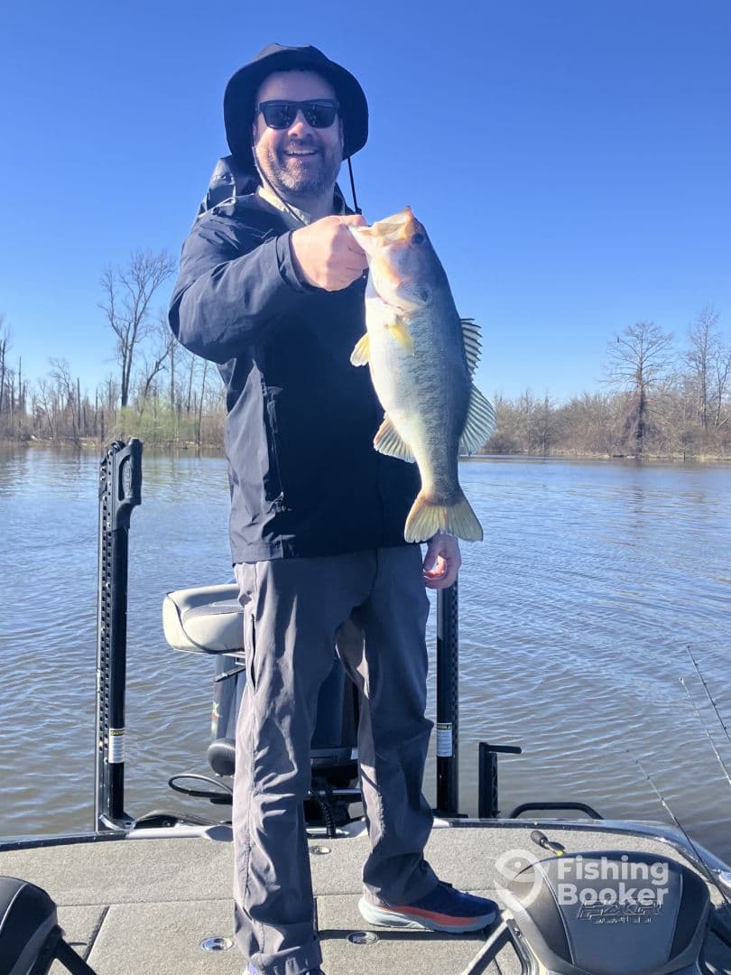 An angler proudly displaying a large Largemouth Bass while fishing from a bass boat in a serene lake setting.