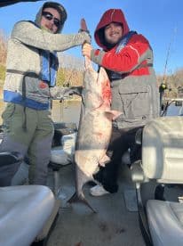 Two anglers proudly displaying a large catfish aboard a fishing boat, showcasing their successful catch during a freshwater fishing trip.