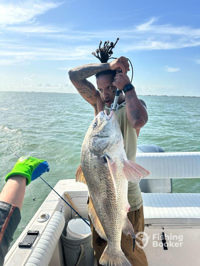 Angler proudly displaying a large Black Drum while fishing on a boat in a coastal environment.
