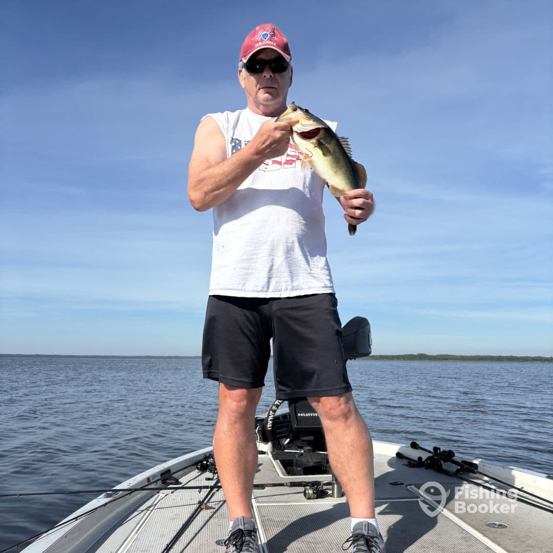 An angler proudly displaying a large Largemouth Bass while fishing on a calm lake, showcasing a sunny day on the water.