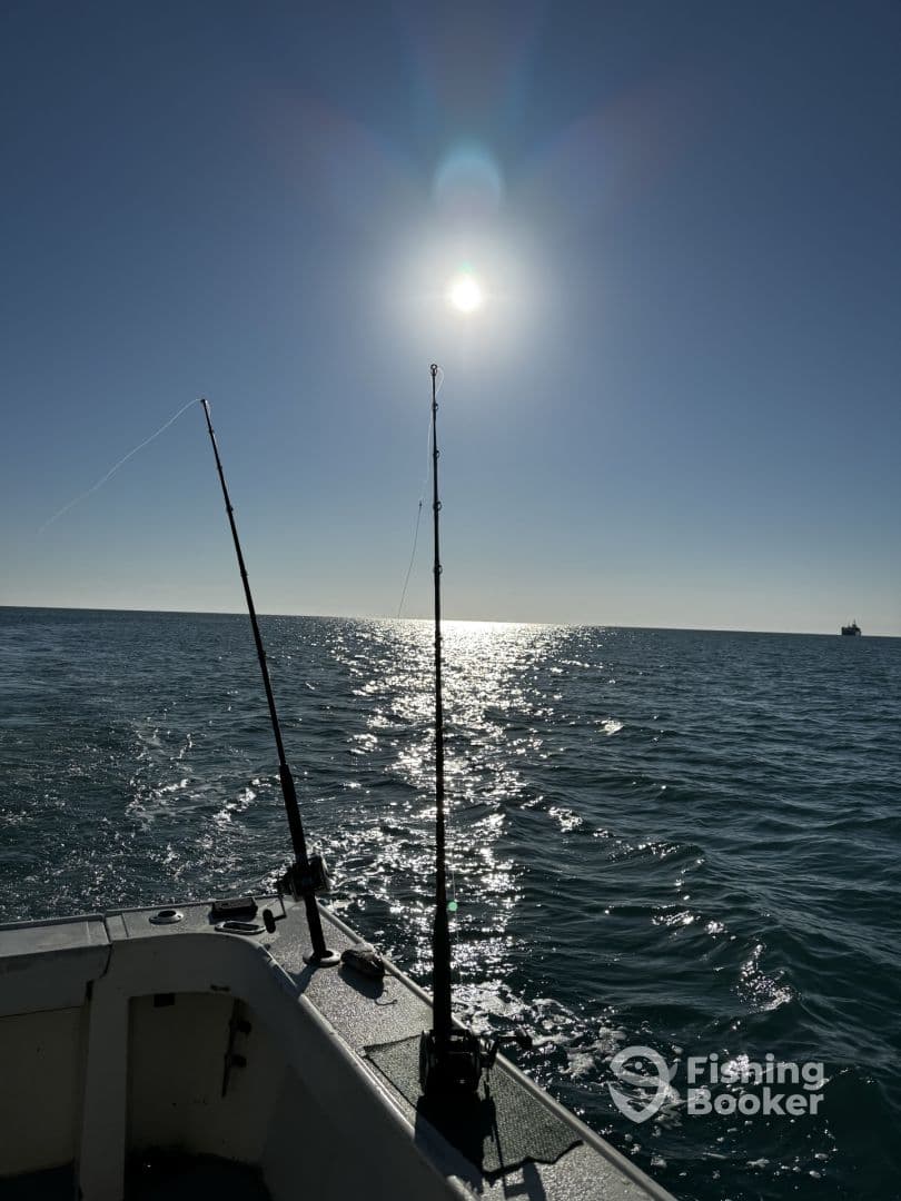 A serene view of the boat's side with fishing rods against a bright sunlit ocean, showcasing a perfect day for fishing.