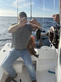 An angler reeling in a Grouper while fishing on a boat in open waters, showcasing the excitement of the catch.