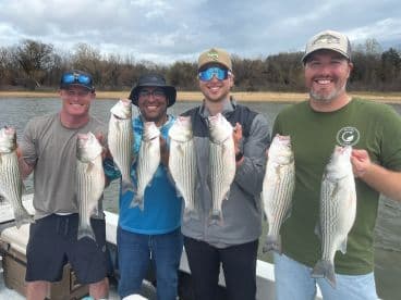 Four anglers proudly displaying their catch of striped bass while on a fishing trip, showcasing a successful day on the water.