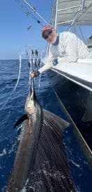 Angler reeling in a majestic Sailfish while fishing offshore, showcasing the excitement of deep-sea fishing.