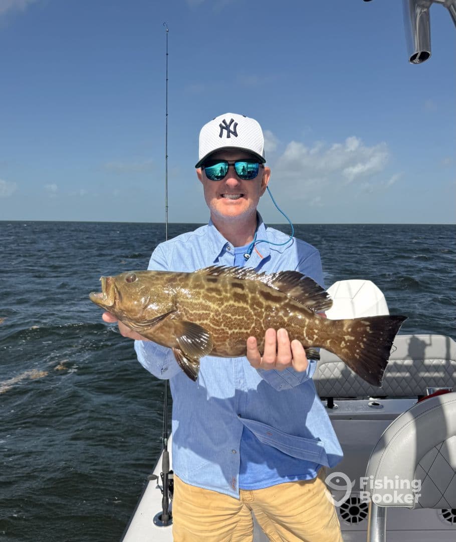 Angler proudly displaying a large Grouper while fishing on a boat in open waters.
