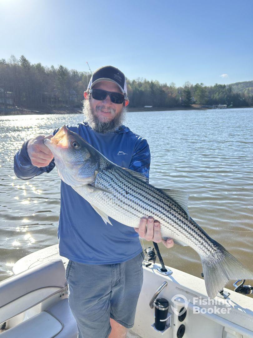 An angler proudly displaying a large Striped Bass while fishing on a serene lake, showcasing a successful day on the water.