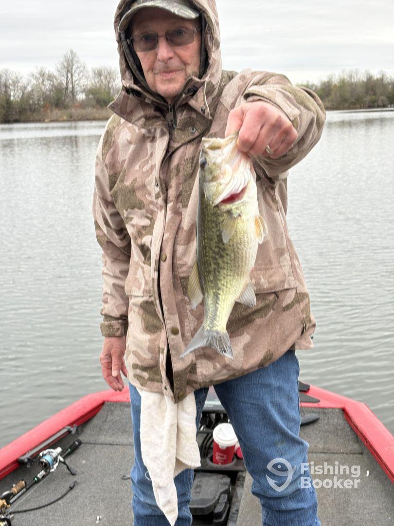 If you want to catch fish?