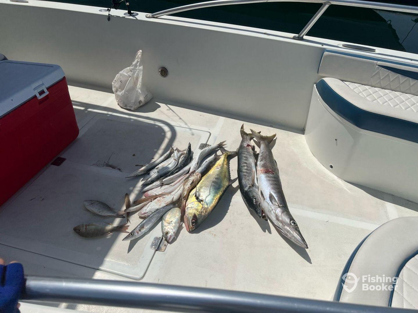 5 Hour Trip - Sunrise Catch