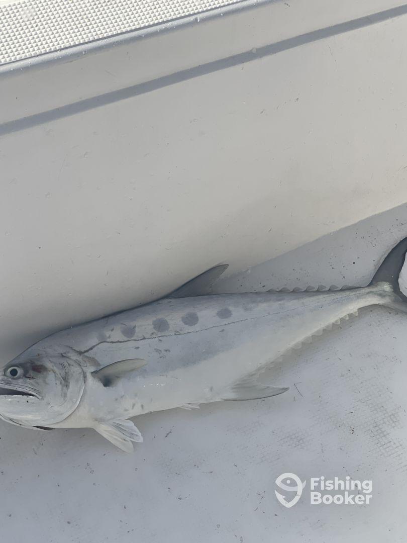 Wonderful experience! 