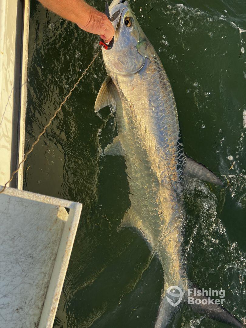 Tarpon Fishing in Torch Key Fl.