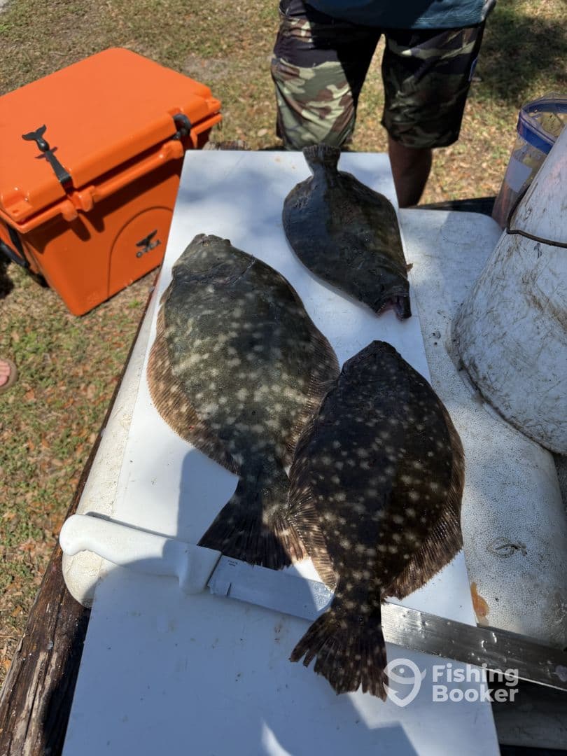 Three Flounder laid out on a cleaning table, showcasing a successful catch after a day of fishing.