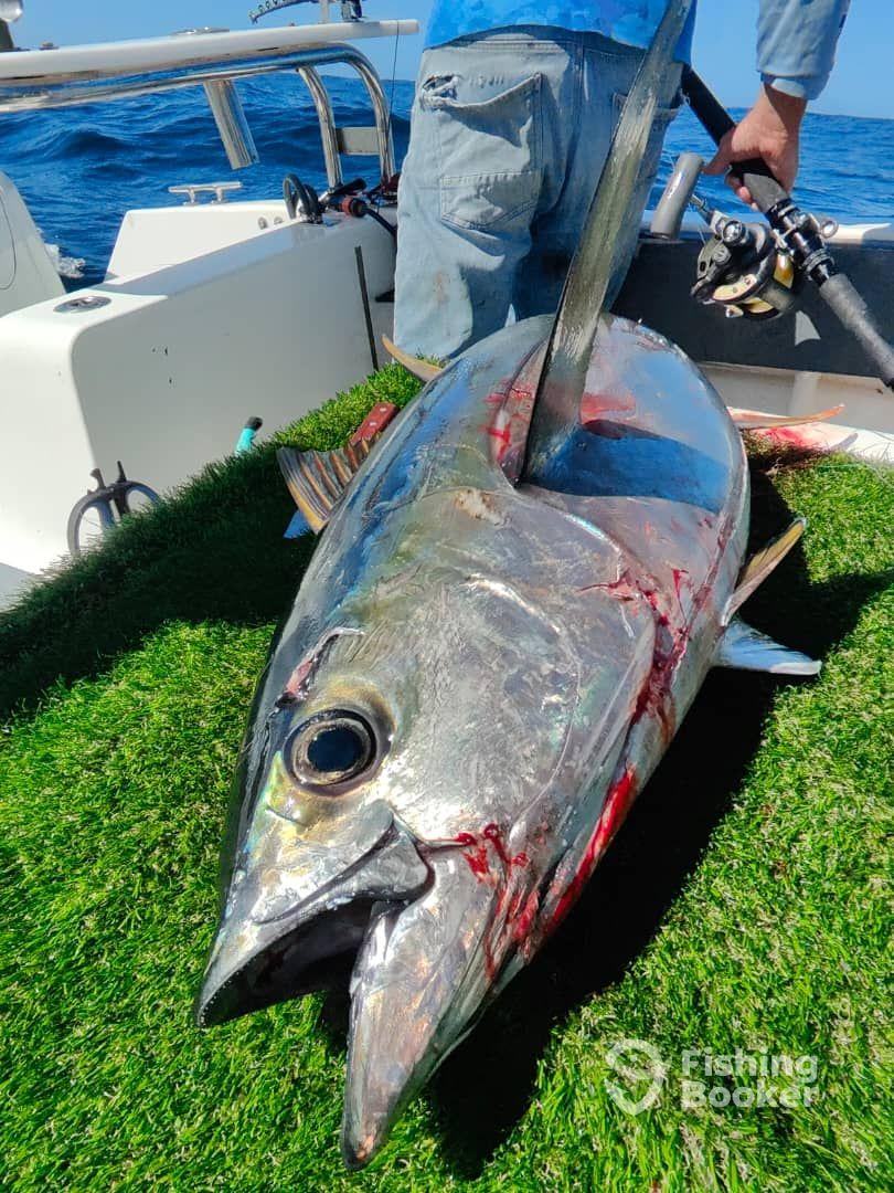Full Day Tuna trip with Capt Byron and crew Monique, Marius and Francois