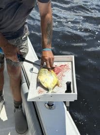 An angler filleting a freshly caught fish on a boat's cleaning station, showcasing the vibrant colors of the fish against the backdrop of calm waters.