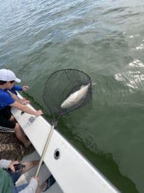 A young angler is reeling in a fish using a net while fishing from a boat, showcasing an exciting moment on the water.