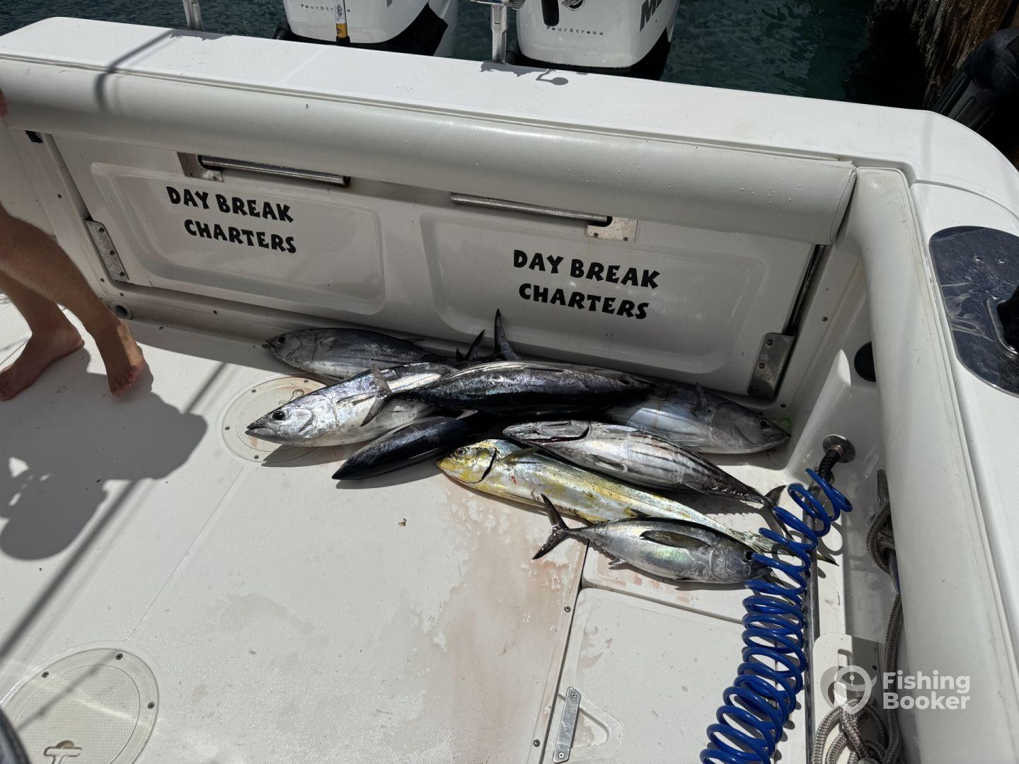 Perfect day even with rain