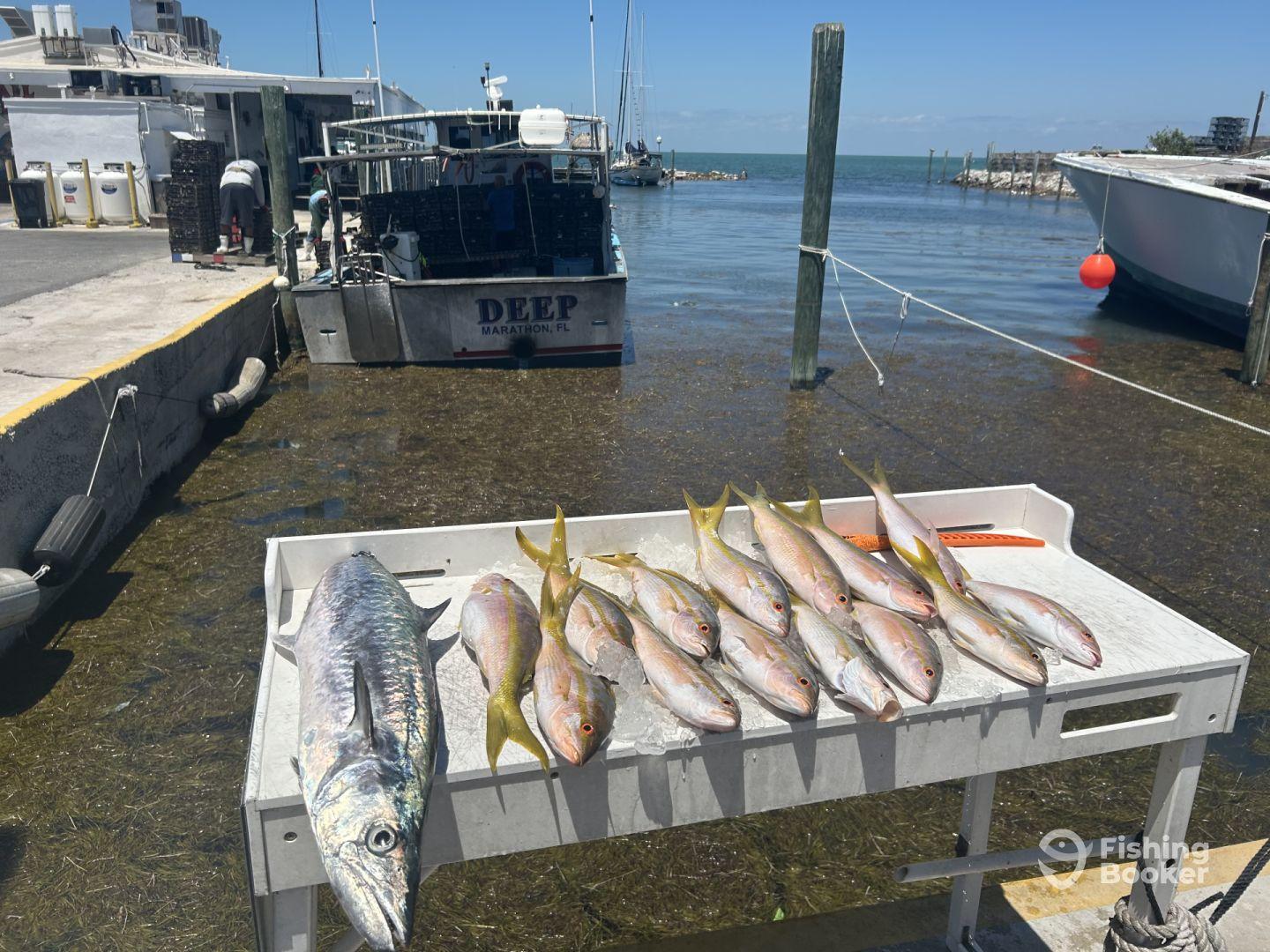 Exactly what we wanted