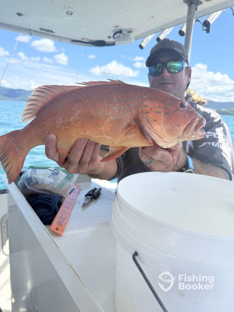 What an amazing experience! 