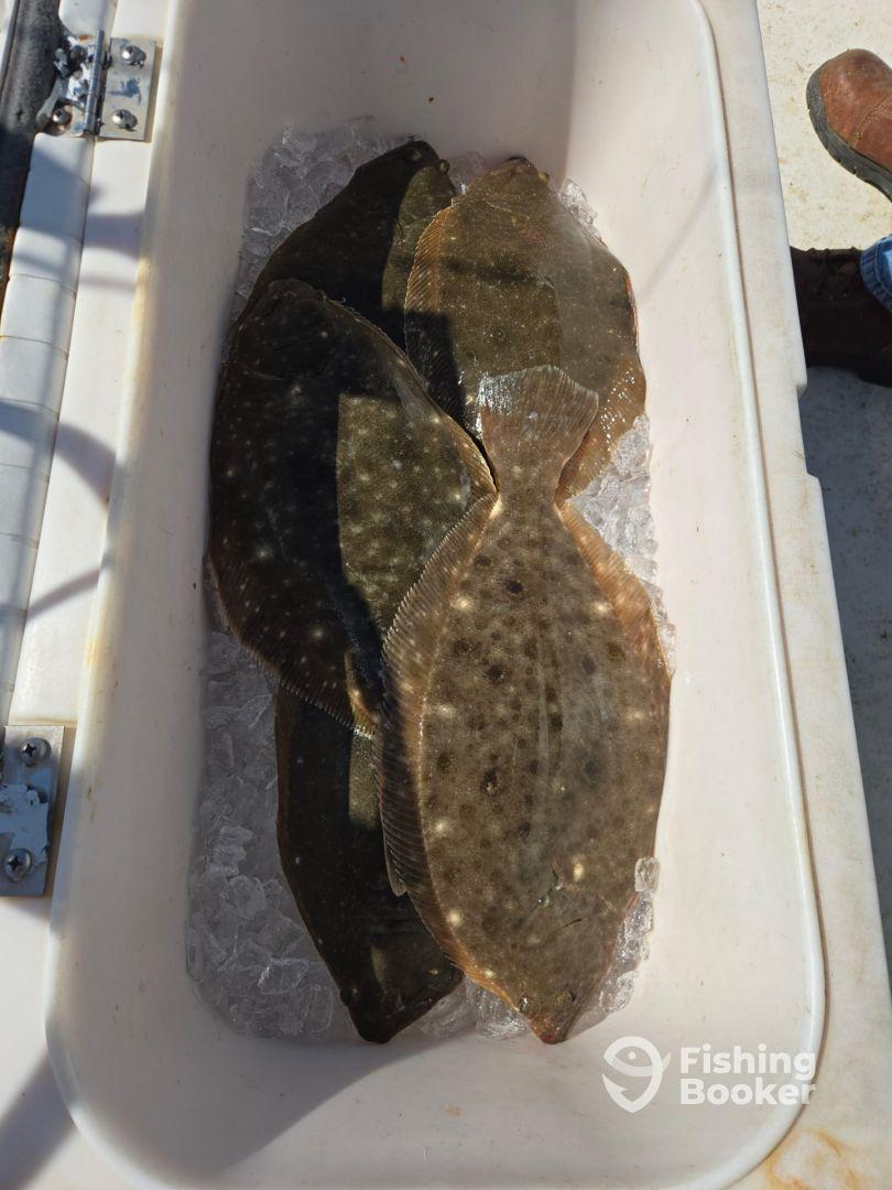 12:00 - 6:00 trip flounder