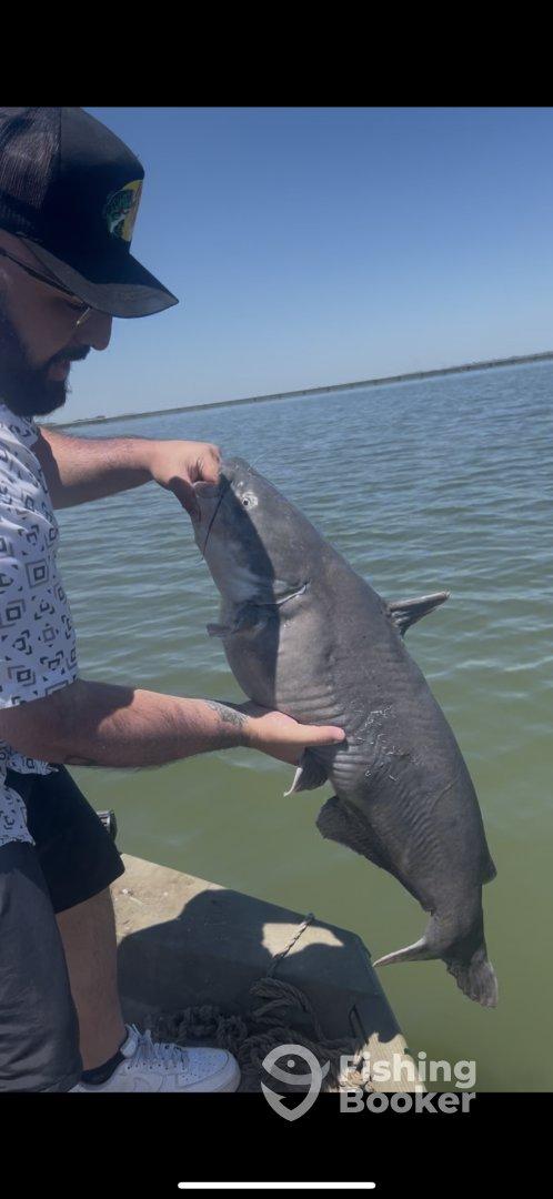 A great day on the lake! 