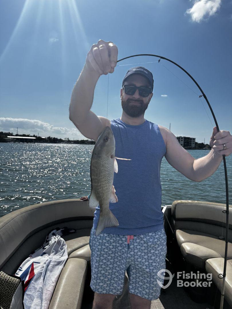 SO much fun for the entire family!!