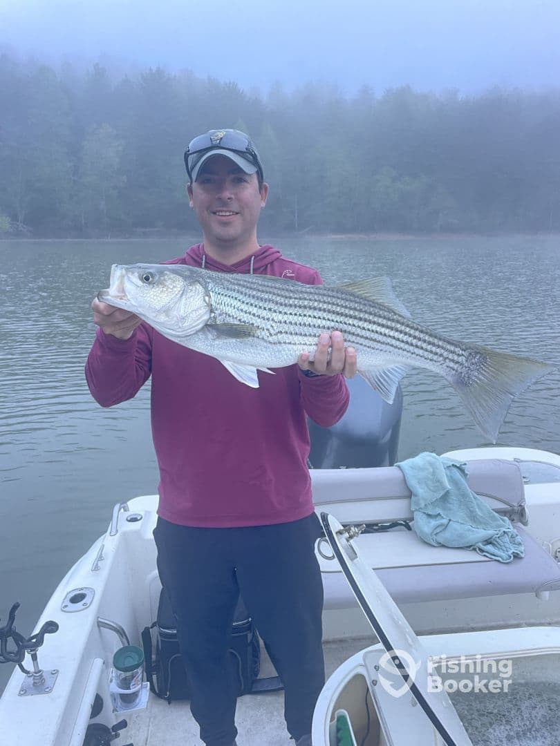 An angler proudly displaying a large Striped Bass while fishing on a misty lake.