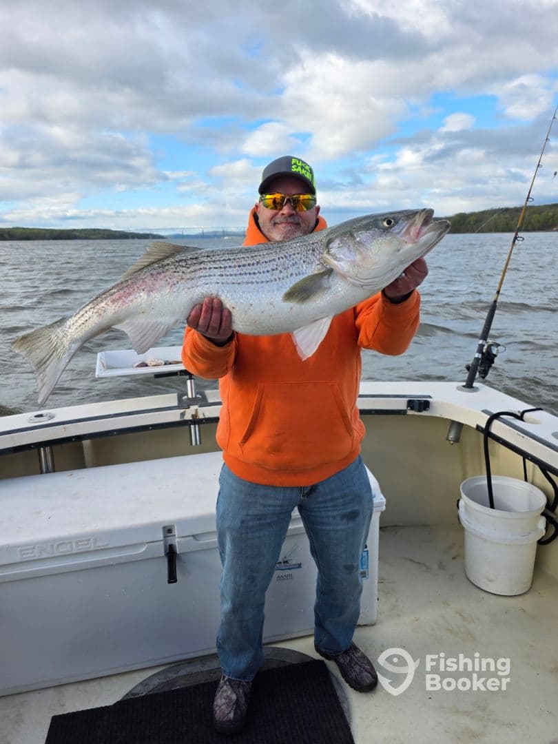 An angler proudly displaying a large striped bass while fishing on a boat, showcasing a successful day on the water.