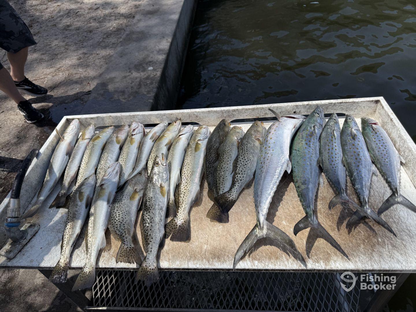 Awesome day on the water!