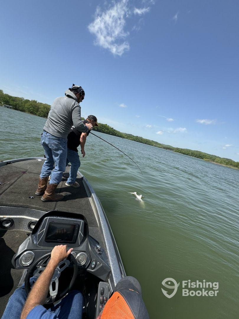 Tagged out in 2 hrs.