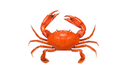 Crab