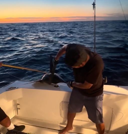 Fantastic afternoon trip on Wahoo