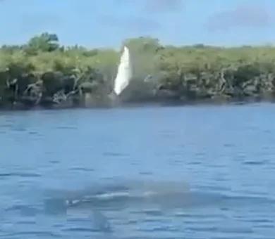 Six Hour Charter Fishing with Capt. Hunter Bach