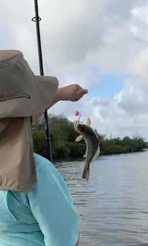 Half Day Morning Trip w/Captain Efrain