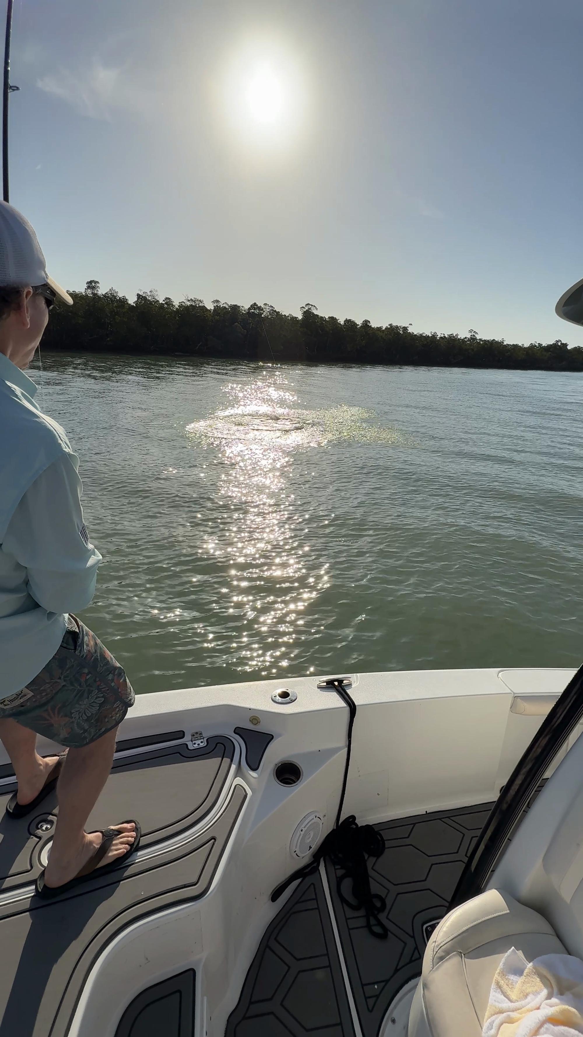 The Boys are back in town