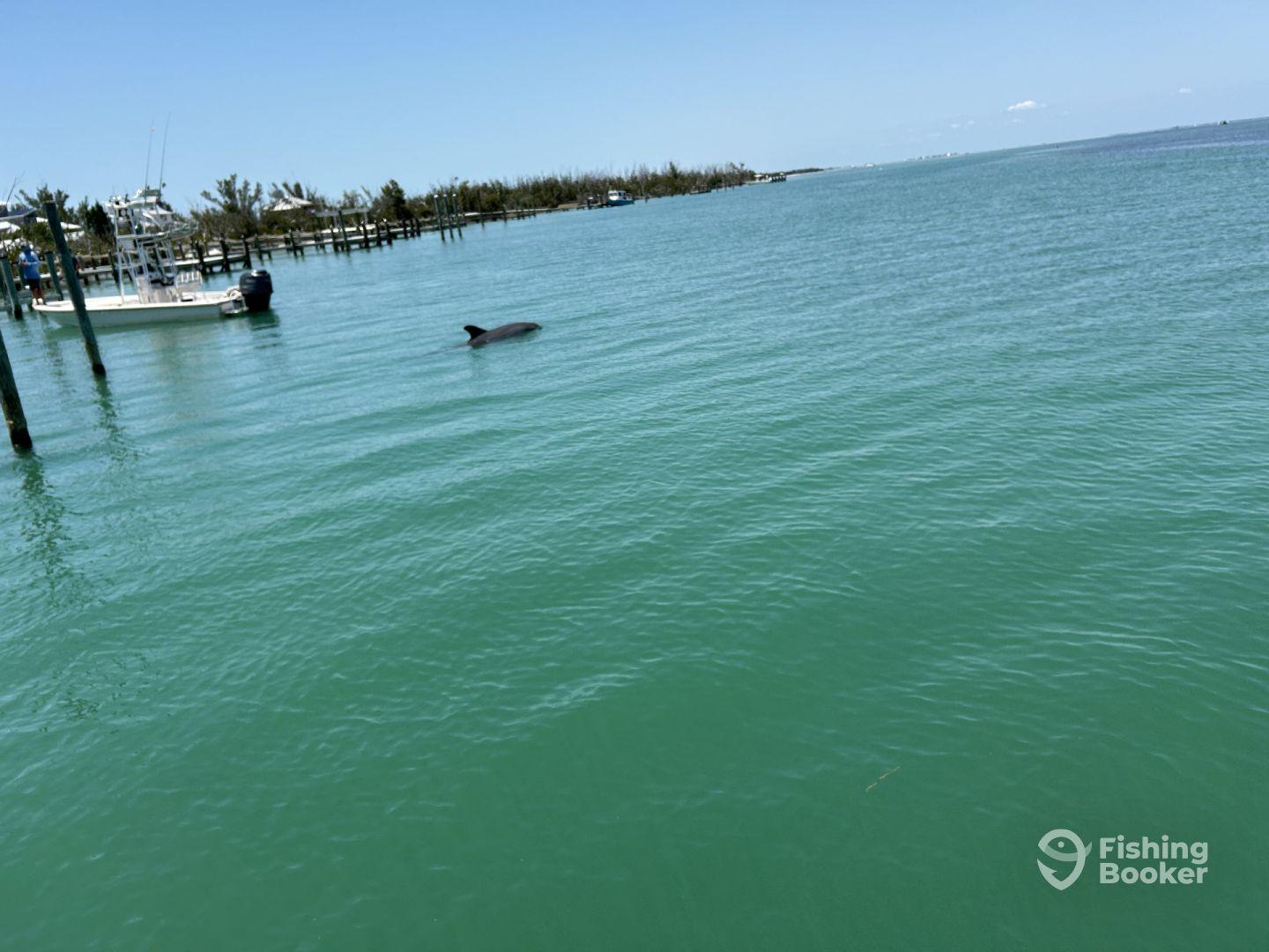 Catching fish is better than fishing! Proved it…