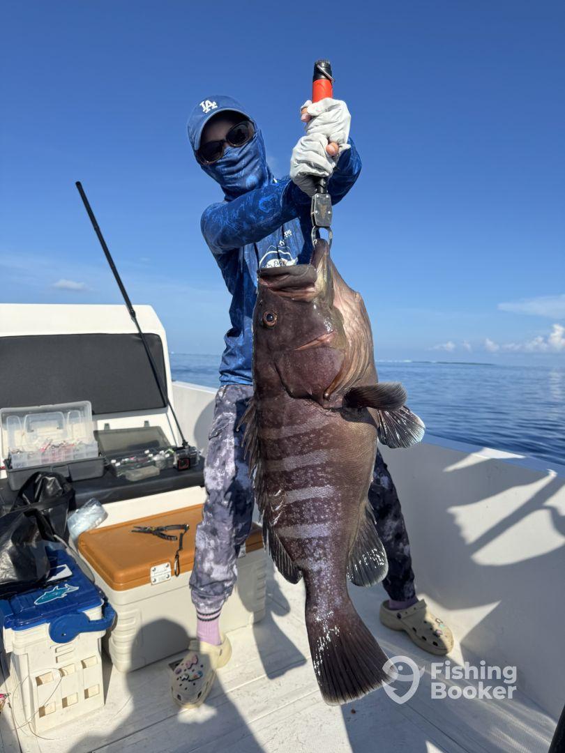 Seven days with Fulhadhoo game fisher