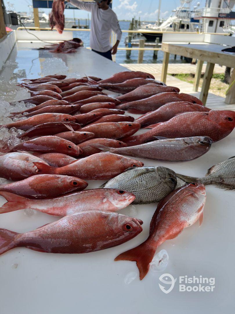 Captain Jake is the Man!